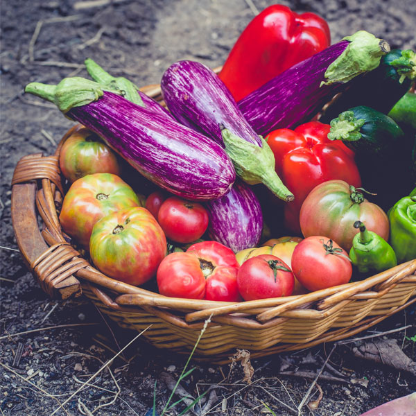 commerces à Ribeauvillé